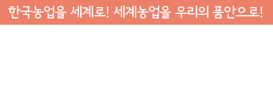 메인이미지가운데글자