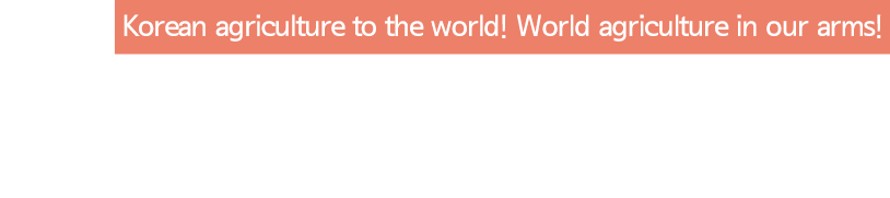 메인이미지가운데글자